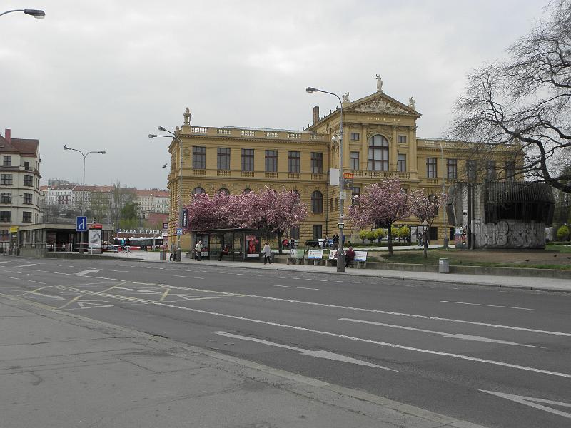 P4240001.JPG