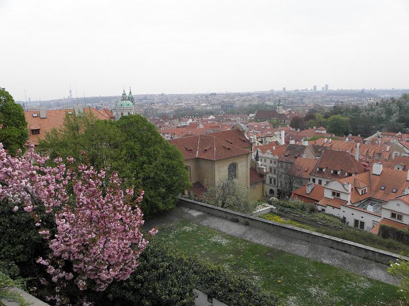 P4240074.JPG