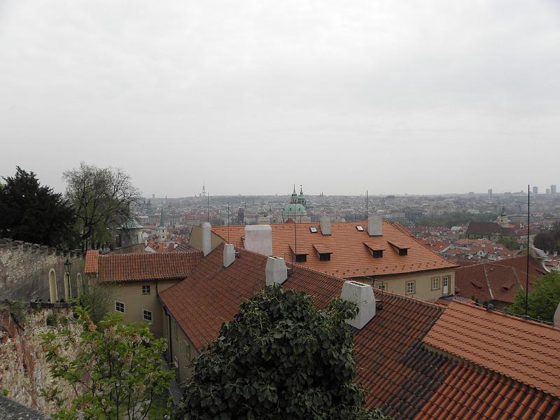 P4240077.JPG