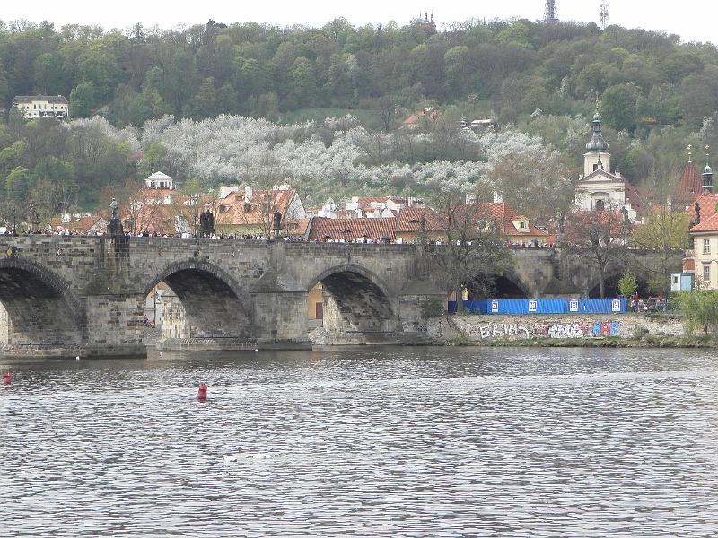 P4250142.JPG
