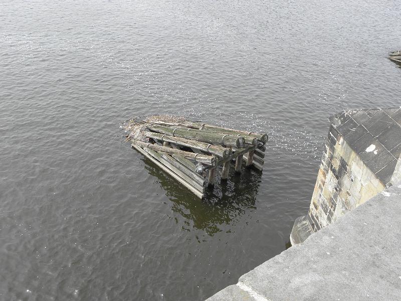 P4250166.JPG