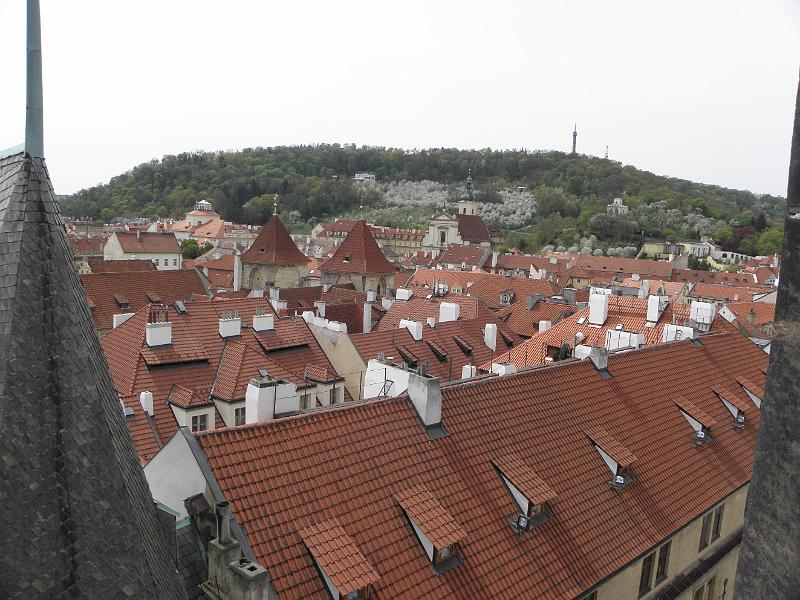 P4250184.JPG