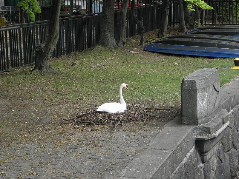 P4250298.JPG