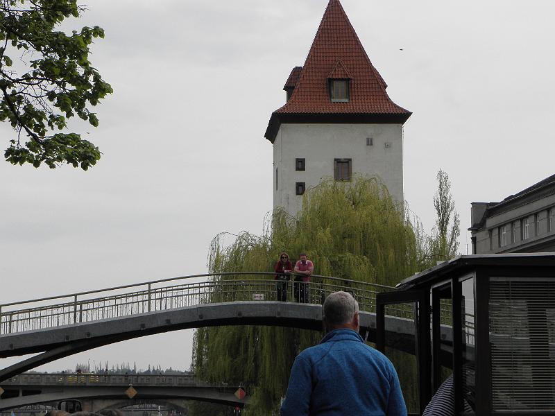 P4250299.JPG