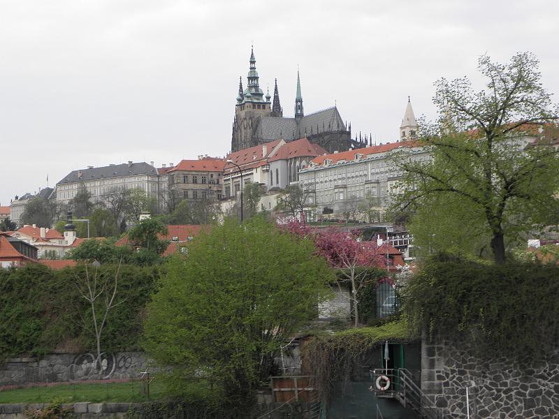 P4250367.JPG