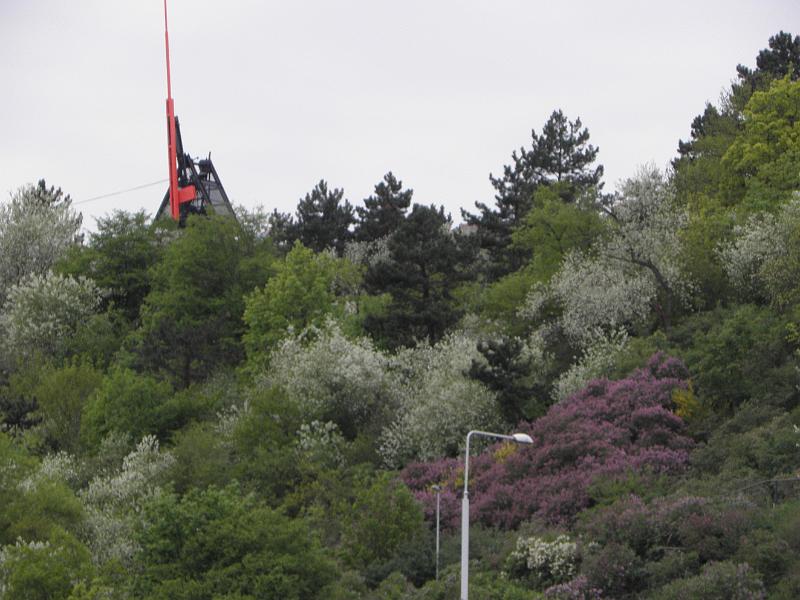 P4250398.JPG