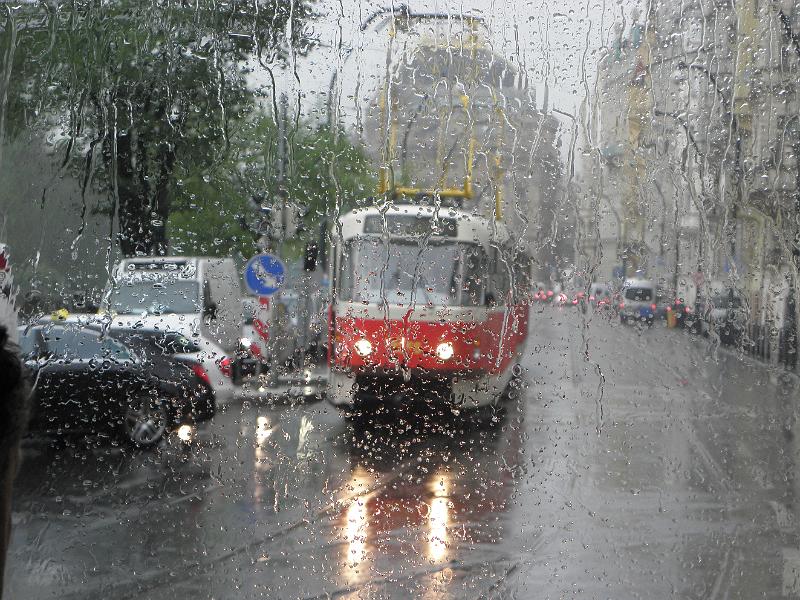 P4280479.JPG