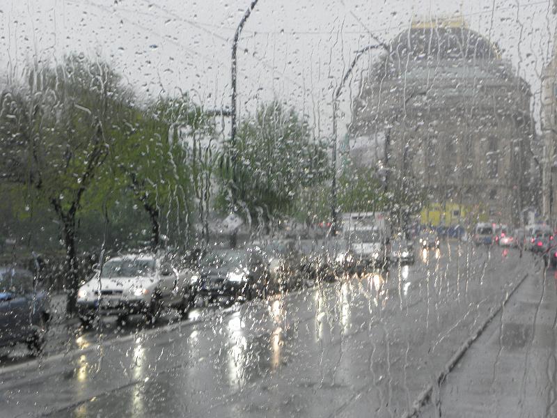 P4280480.JPG