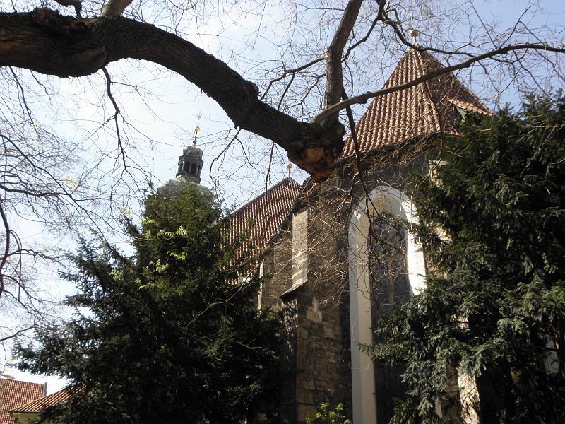 P4290572.JPG