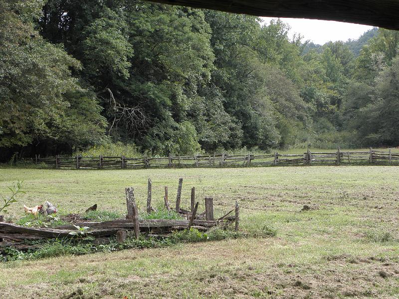 P9100466.JPG