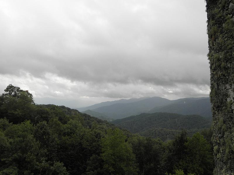 P9100481.JPG