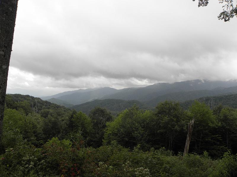 P9100483.JPG