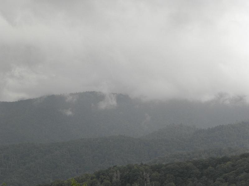 P9100484.JPG