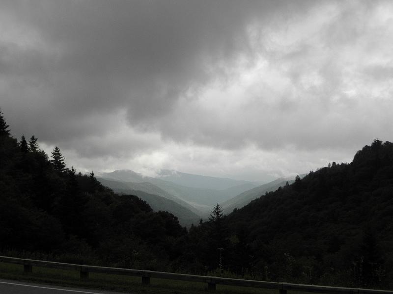 P9100491.JPG