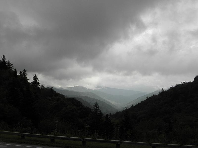 P9100492.JPG