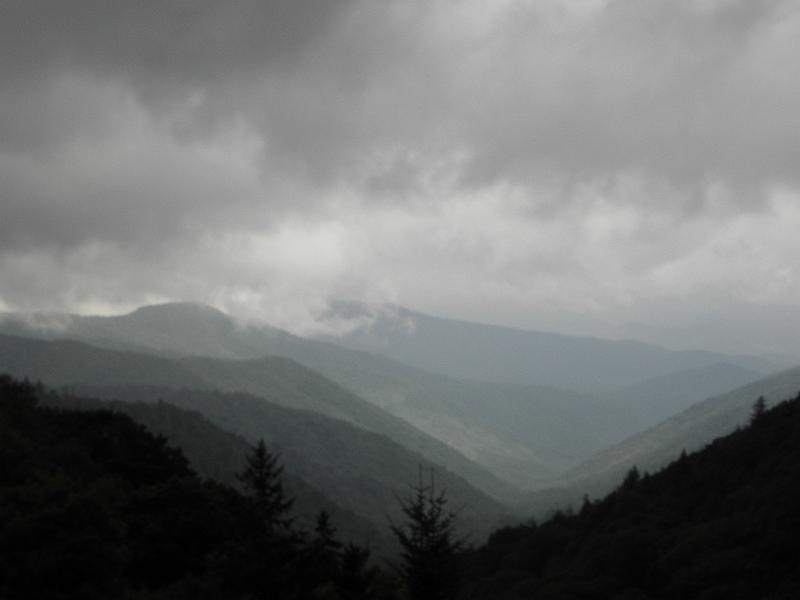 P9100493.JPG