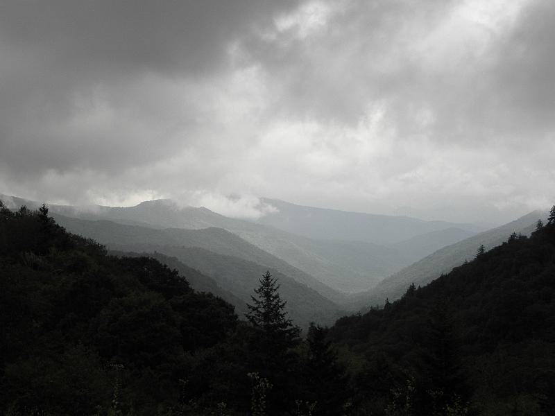 P9100495.JPG