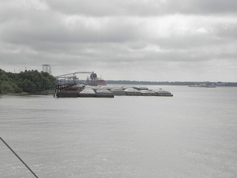 P9171069.JPG
