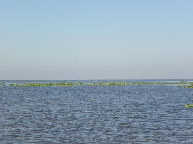 P9181154.JPG