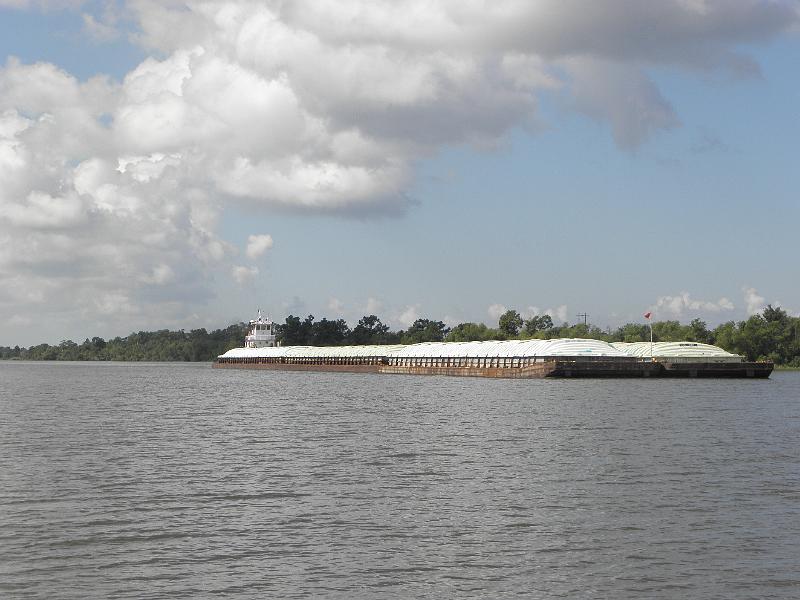 P9181164.JPG