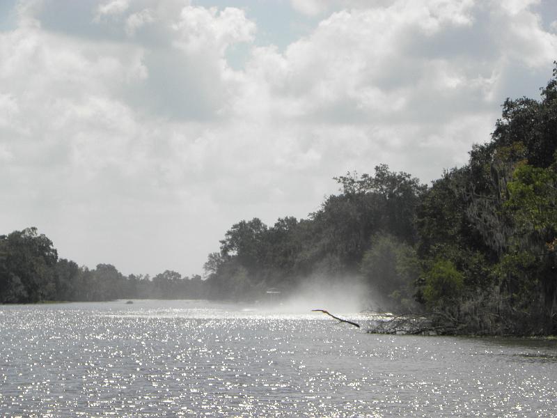 P9181166.JPG