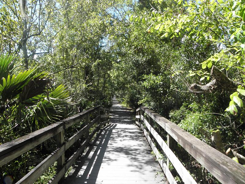 P9181207.JPG