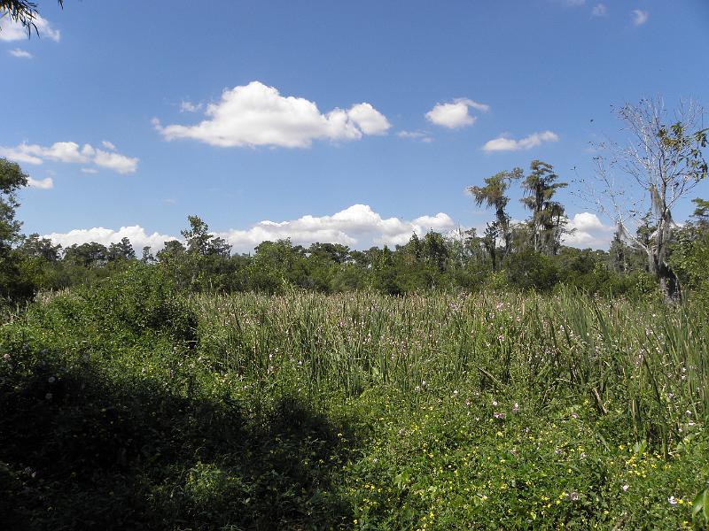 P9181216.JPG