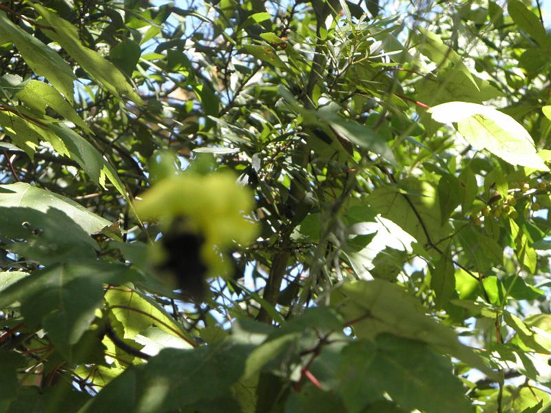 P9181221.JPG