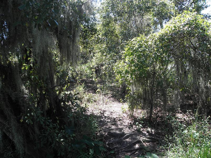 P9181231.JPG