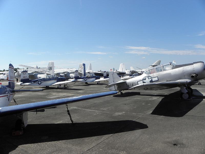 P9201433.JPG