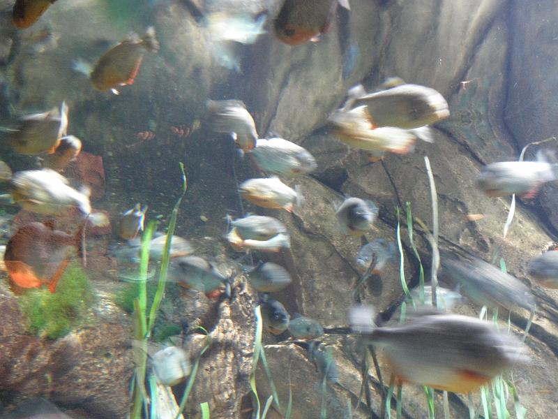 P9221589.JPG