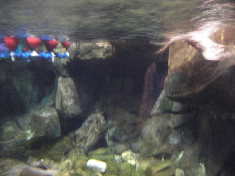 P9221593.JPG