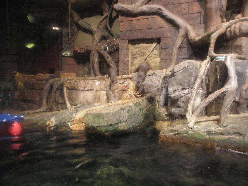 P9221602.JPG