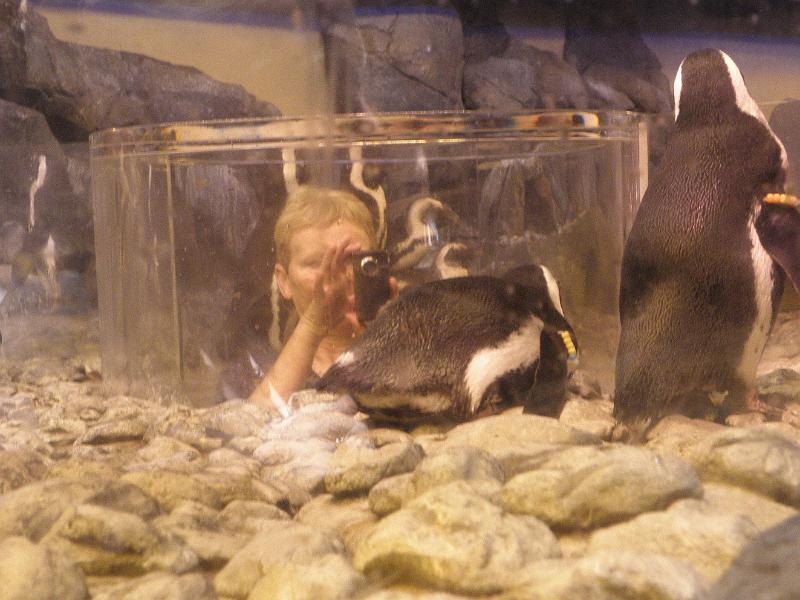 P9221628.JPG