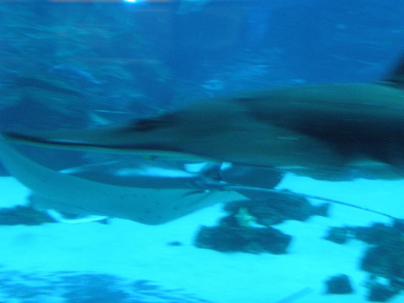 P9221649.JPG