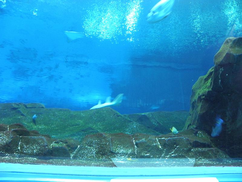 P9221658.JPG
