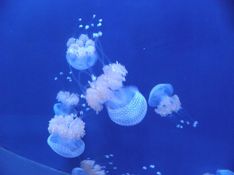P9221681.JPG