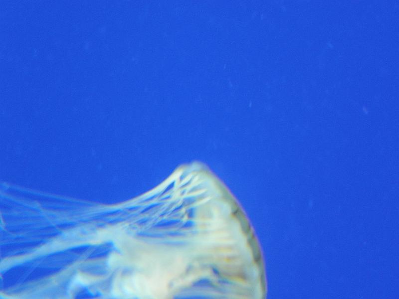 P9221685.JPG