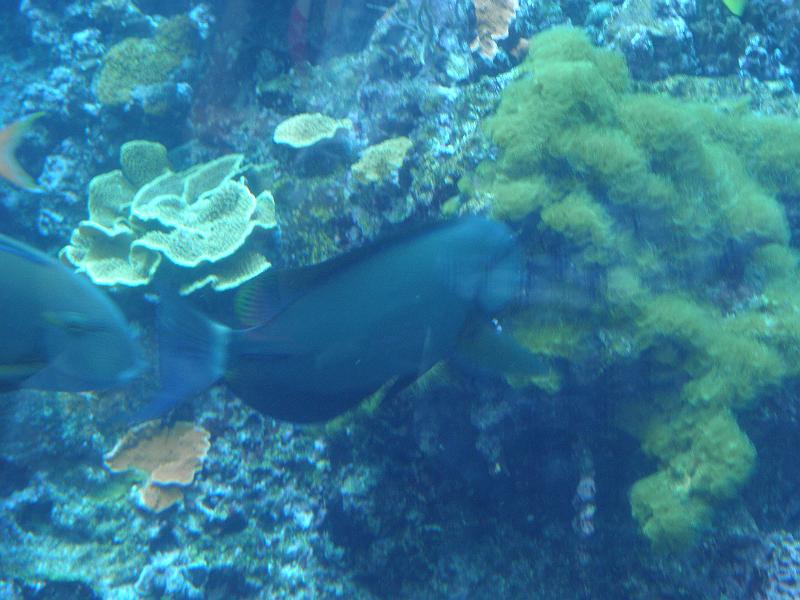 P9221701.JPG