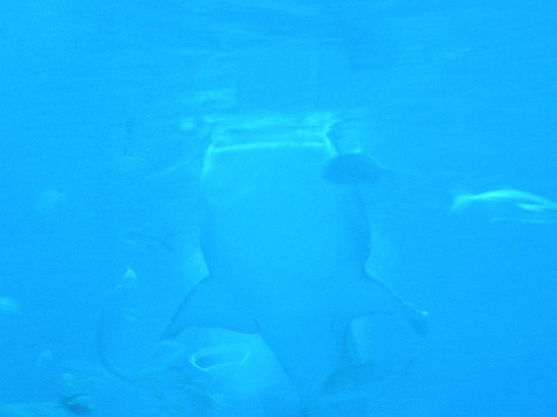 P9221712.JPG