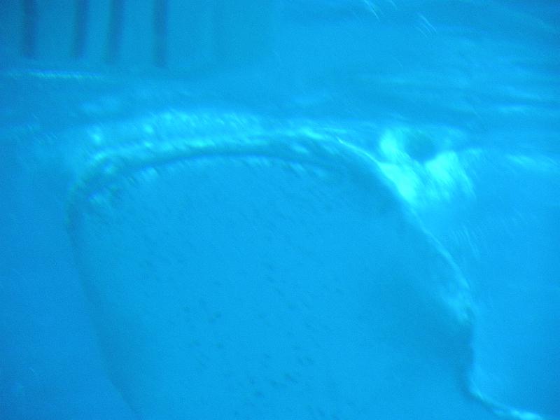 P9221717.JPG