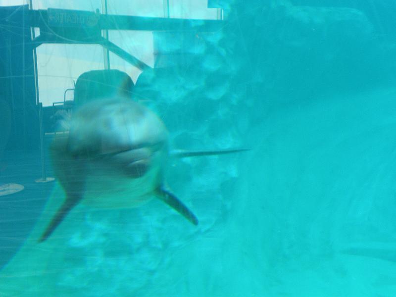 P9221730.JPG