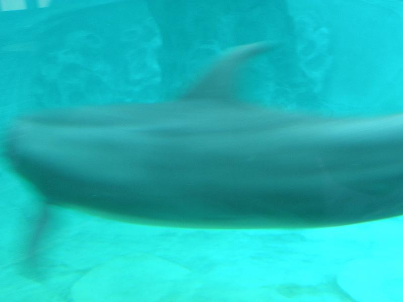 P9221732.JPG