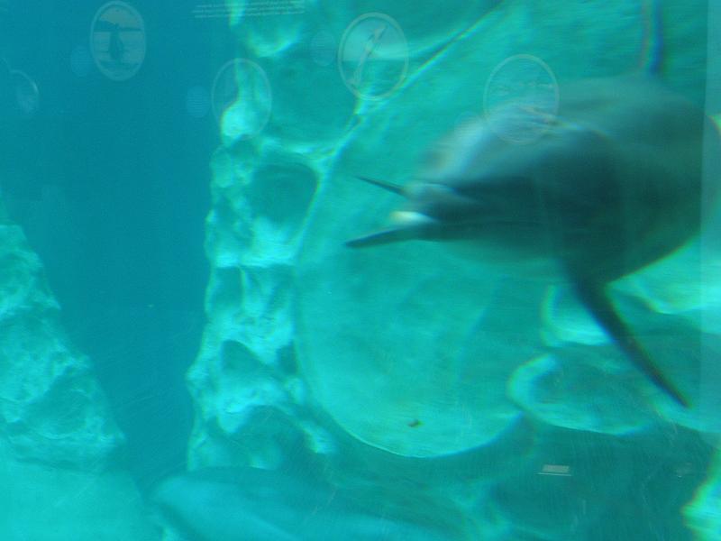 P9221735.JPG