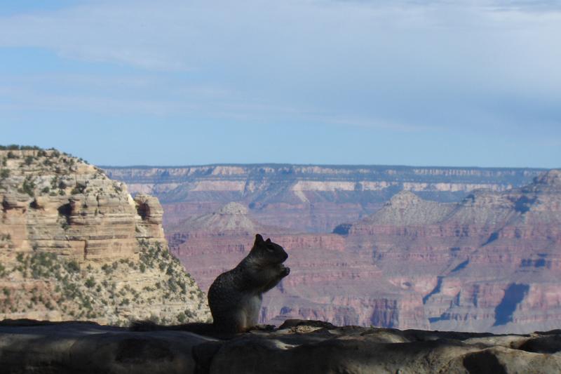 DSC02186.JPG