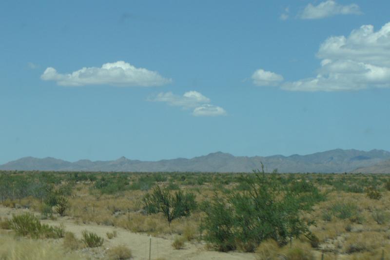 DSC02226.JPG