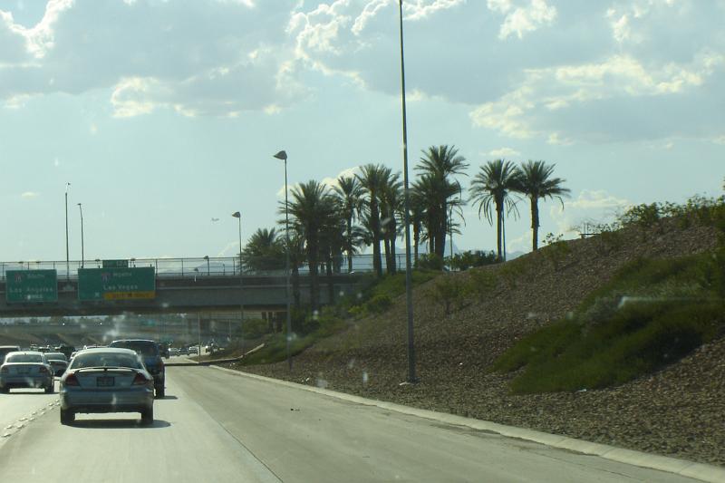 DSC02310.JPG
