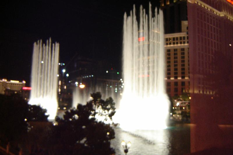 DSC02339.JPG
