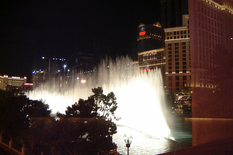 DSC02341.JPG