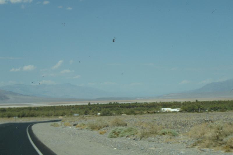 DSC02455.JPG